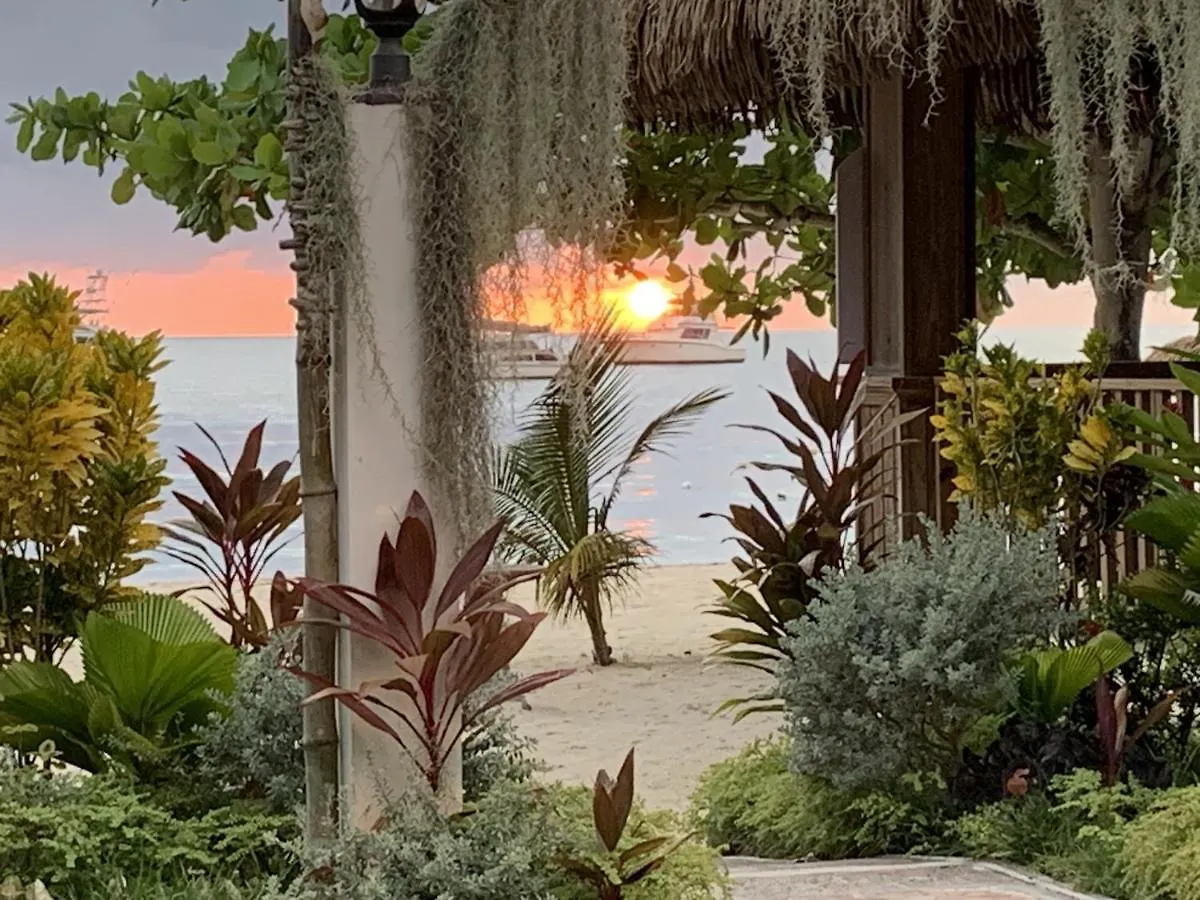 Comfy Stay In Jamaica -Enjoy 7 Miles Of White Sand Beach! Villa Νεγκρίλ